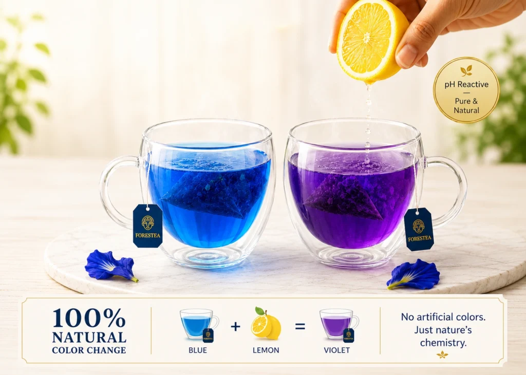 Butterfly Pea flower infusion naturally changing from blue to violet after adding lemon.