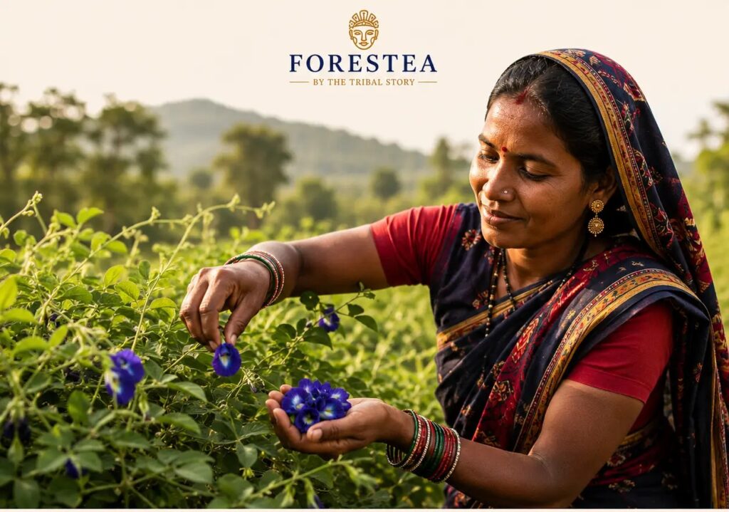 forestea natural harvest butterfly pea flower
